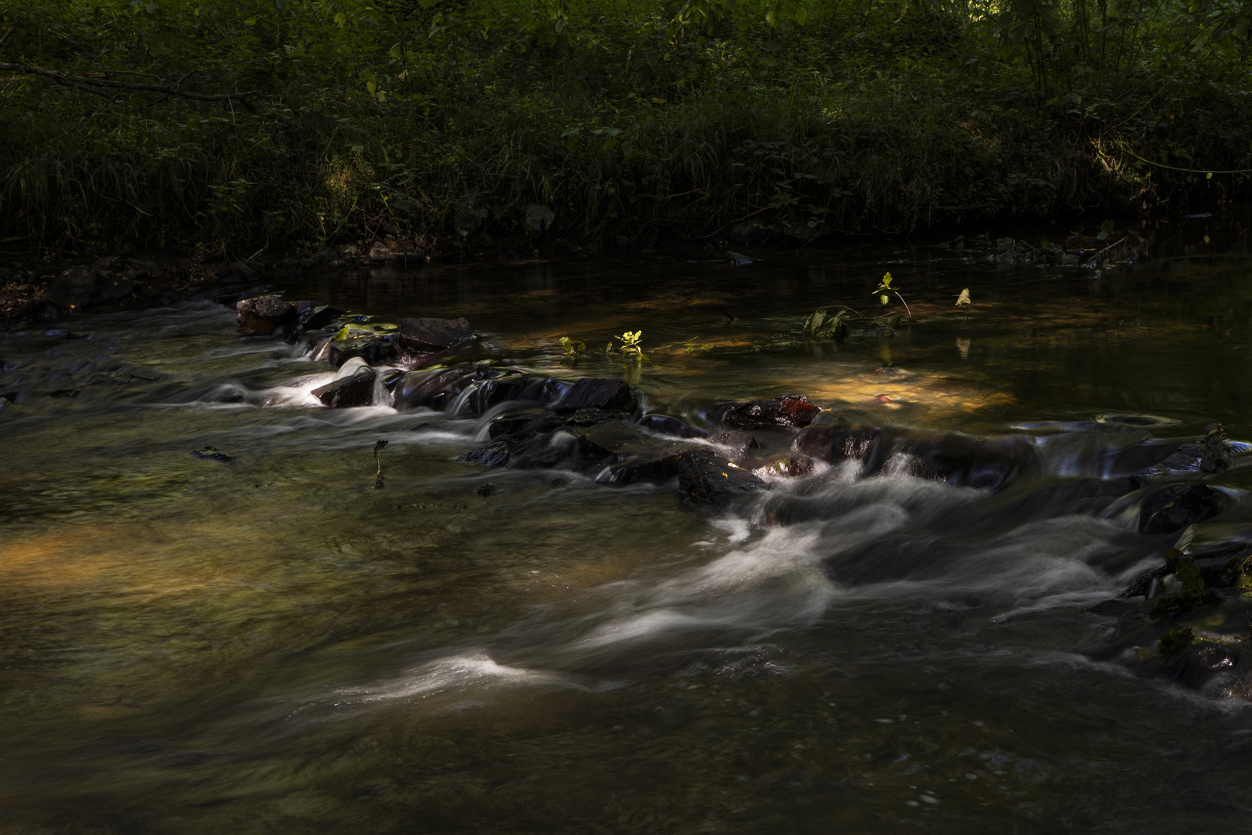 Photo d'une rivière
